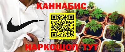эйфоретик Будённовск