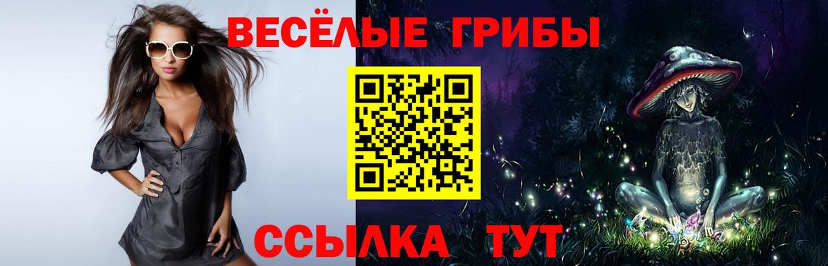Саянск  Псилоцибиновые грибы Psilocybe  Вход с VPN  цены   Псилоцибиновые грибы Psilocybine cubensis 